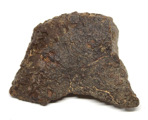 Chondrite moroccan stony - chondrite,