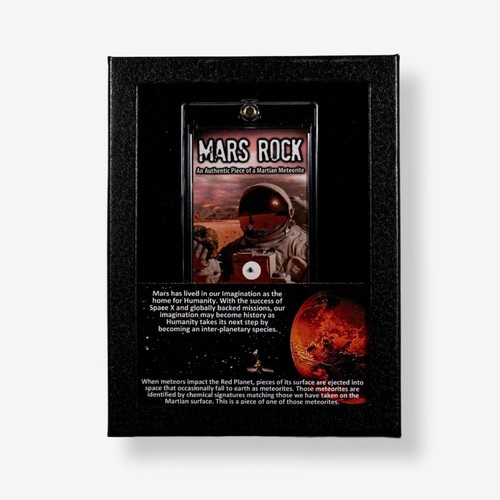 Real martian meteorite display - real,